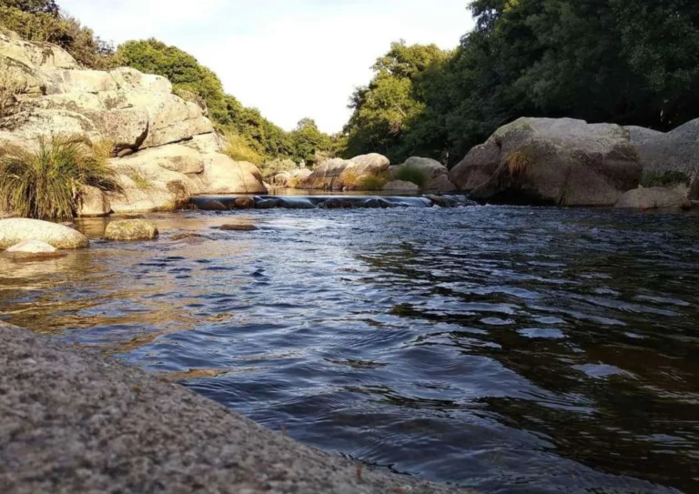 pesca de trucha