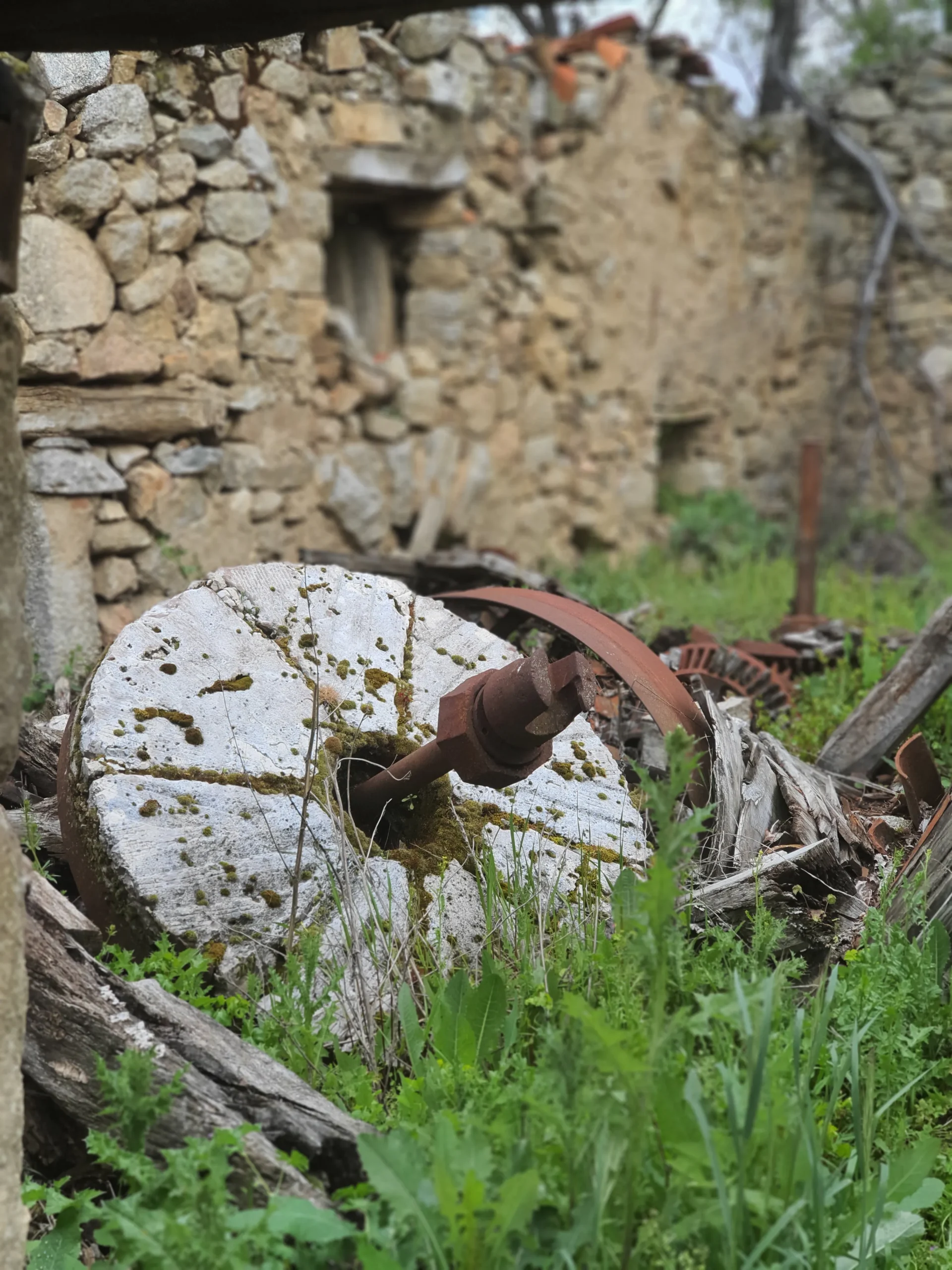 molino del camaron
